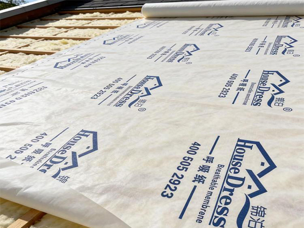 Visita al mercado extranjero de Xiashi Packing: aplicaciones de proyectos reales de membranas transpirables