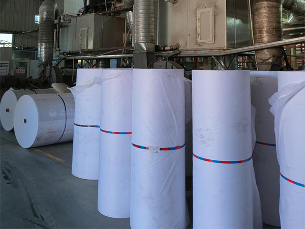Más de tres décadas de innovación intersectorial en materiales de Xia's Packing